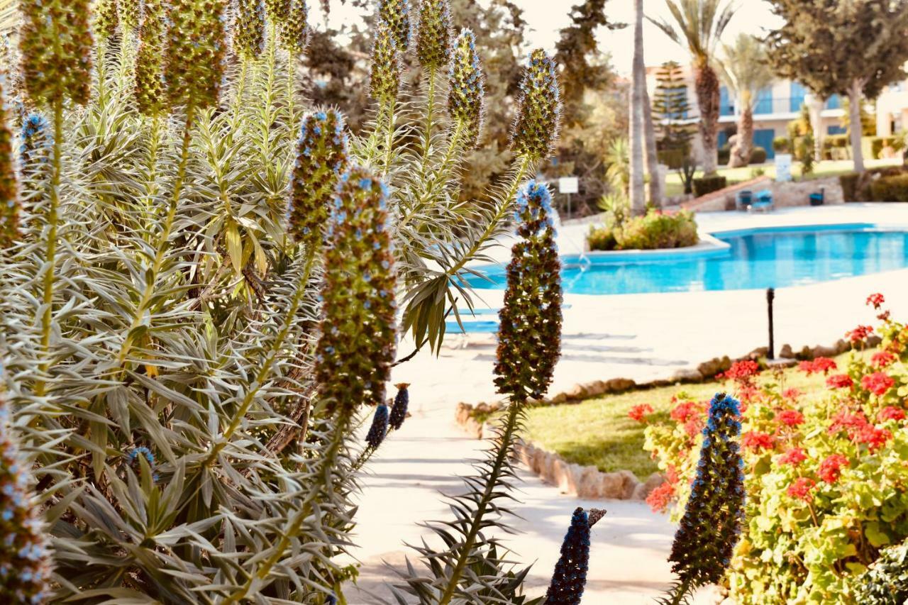 بافوس Paradise Gardens Mediterranean Home المظهر الخارجي الصورة