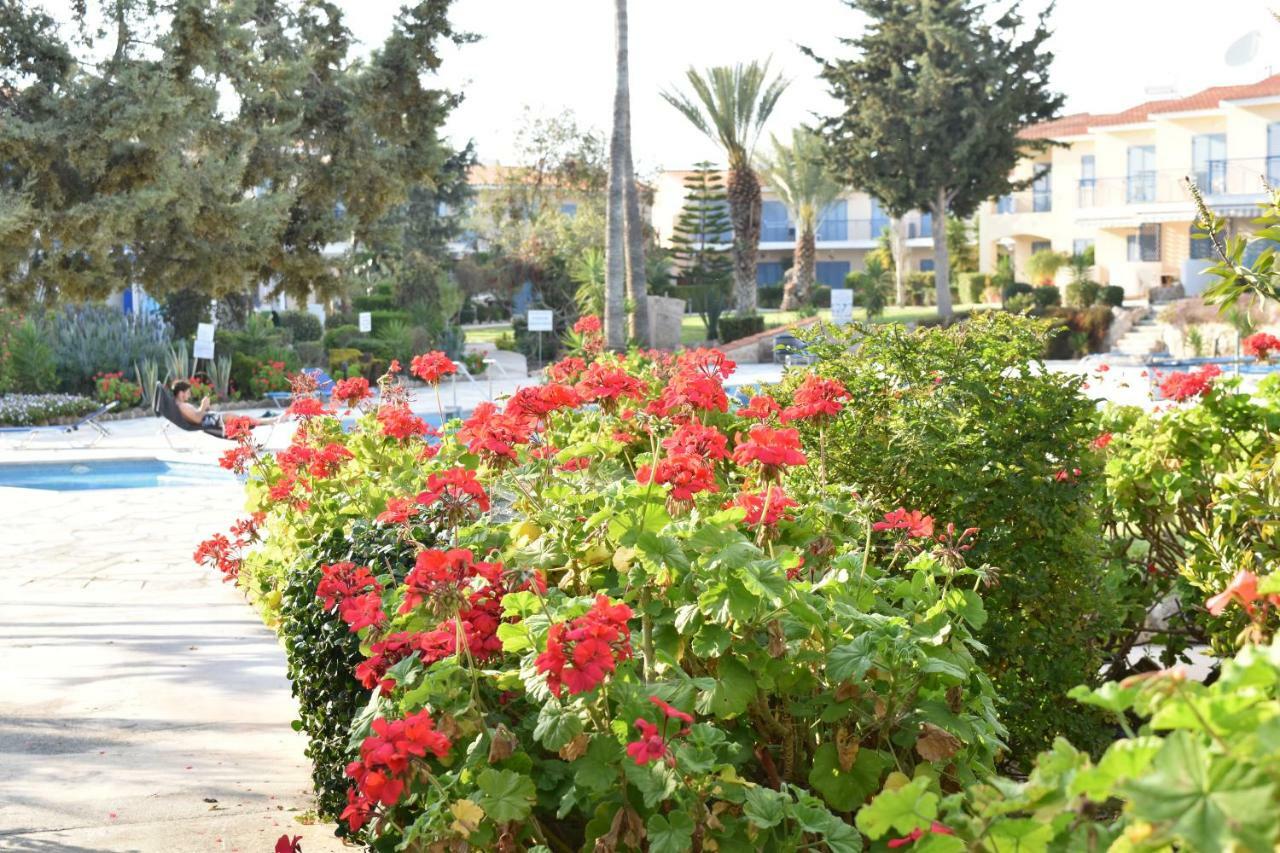 بافوس Paradise Gardens Mediterranean Home المظهر الخارجي الصورة